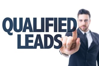 provide you hot consumer leads sales leads business leads usa leads b2b leads