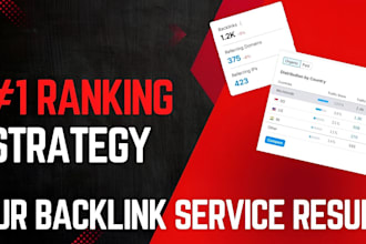 provide monthly SEO service for 1st page google rankings