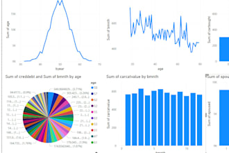 do professional statistical data analysis in python, r, spss or excel