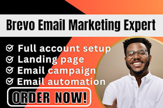 set up brevo mailchimp, email campaign and email automation workflow