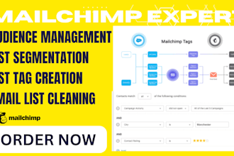 do mailchimp audience management, email list segmentation, list tag creation