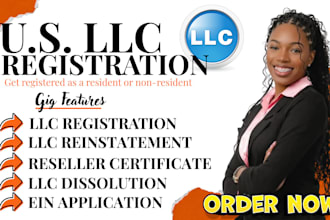 setup US llc, ein, itin, boi, and help with dissolution