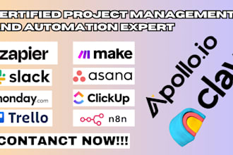 build clay automation, integrate apollo, custom api workflow saas, instantly ai