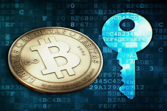 do crypto wallet investigation, analyze and investigate blockchain transactions