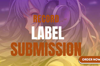 submit your demo to major labels, to maximize your chances of getting signed