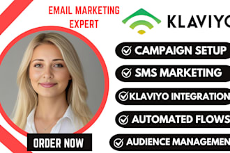 klaviyo welcome flow abandoned cart flow klaviyo expert audit klaviyo SMS clay