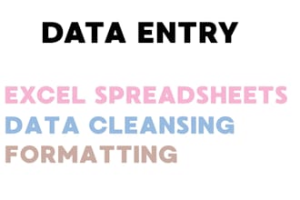 enter, format, and cleanse data in excel spreadsheets