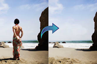 remove or add people and person objects from image