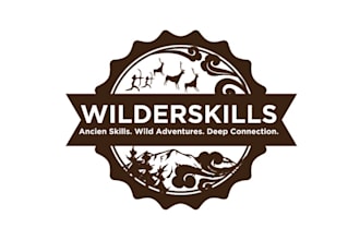 design motivation particular wild adventures logo
