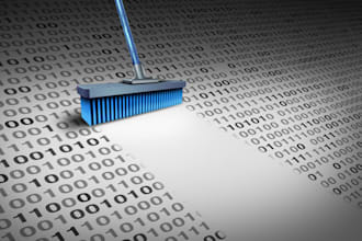 professionally entry data and clean using stata and excel