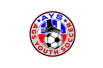 create professional and specially soccer  logo design