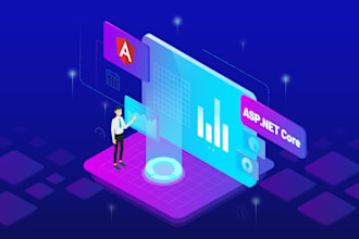 develop or fix your asp net web application and angular