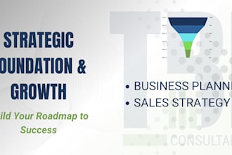 craft your investor ready strategic growth focused business plan