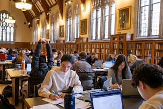 do nvivo, nlp, ai, data science, ml, and gpt, using python