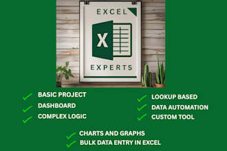 excel bulk data entry, lookup, pivot table, dashboard