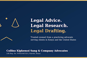 provide legal advice, legal research, and draft legal documents