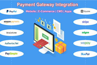 integrate payment gateways, stripe google paypal square wise klarna revolut pay