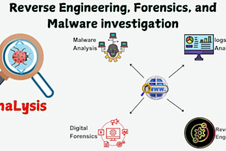 do reverse engineering, forensics, and malware analysis