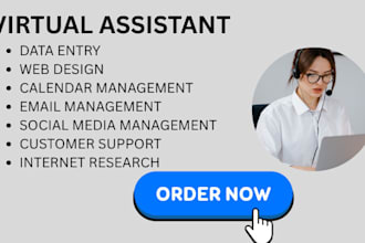 personal executive virtual assistant and social media content manager VA admin