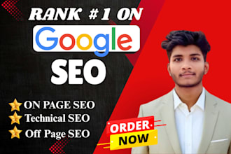 provide complete monthly SEO service for wordpress website