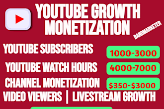 do usa youtube promotion, channel monetization, organic subscription