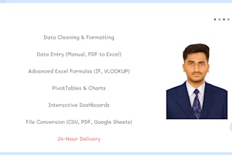 clean , organize , data entry and data virtualization