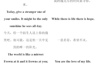 translate english into chinese perfectly