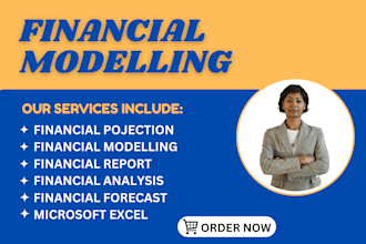 provide investor ready financial models, forecasts, projections, business plan