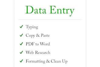 handle excel data entry professionally cleanup