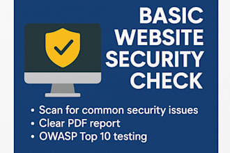 do a basic web security check for your website