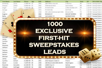 provide 1000 exclusive first hit sweepstakes leads for USA