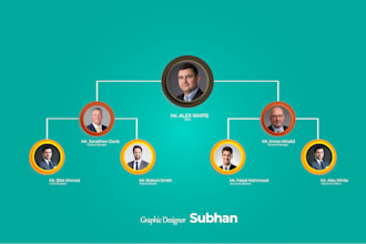 design an infographic, organizational chart ,process map, org chart