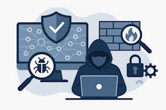 perform professional network security audit and penetration testing