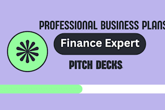 create an investor ready business plan with financial projections
