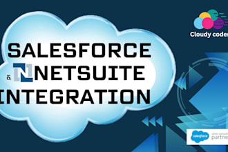 be your salesforce and netsuite integration expert