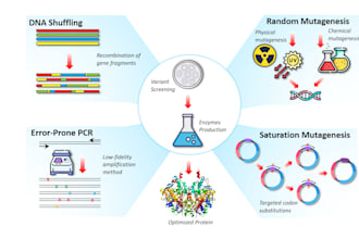do scientific and biological illustrations