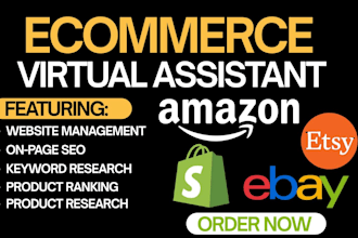 do ecommerce virtual assistant for highly responsive website