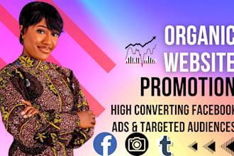 promote organic website traffic, website promotion and shopify facebook ads