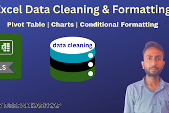 do excel data cleaning , formatting   and analyze excel data using pivot tables