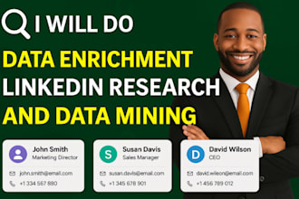 do data enrichment, linkedin research and data mining