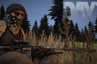 setup full dayz server for you with mods