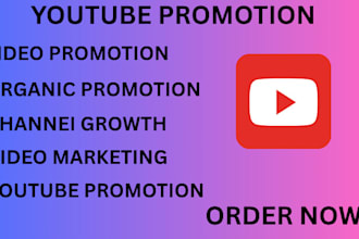 do best youtube video SEO expert optimization and channel growth manager