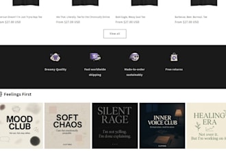 shopify store design, shopify, shopify seo, shopify developer, dropshipping sho