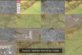 dsm,dtm,3d layout map,topographic map, land survey, gis mapping satellite,arcgis