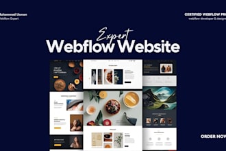 be your expert webflow developer for figma to webflow responsive website
