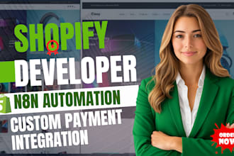 build design shopify store website banner web app shopify dropshipping seo store