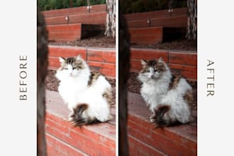 color correction and natural photo enhancement