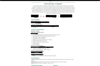 create and write your CV in 24 hours
