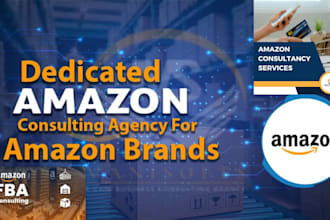 your amazon consultant, amazon fba consultant, mentor, advisor, and manager