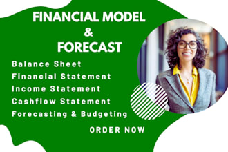 build excel financial model forecasts budget projections